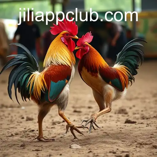 The Tradition of Sabong Games and the Role of Jiliapp